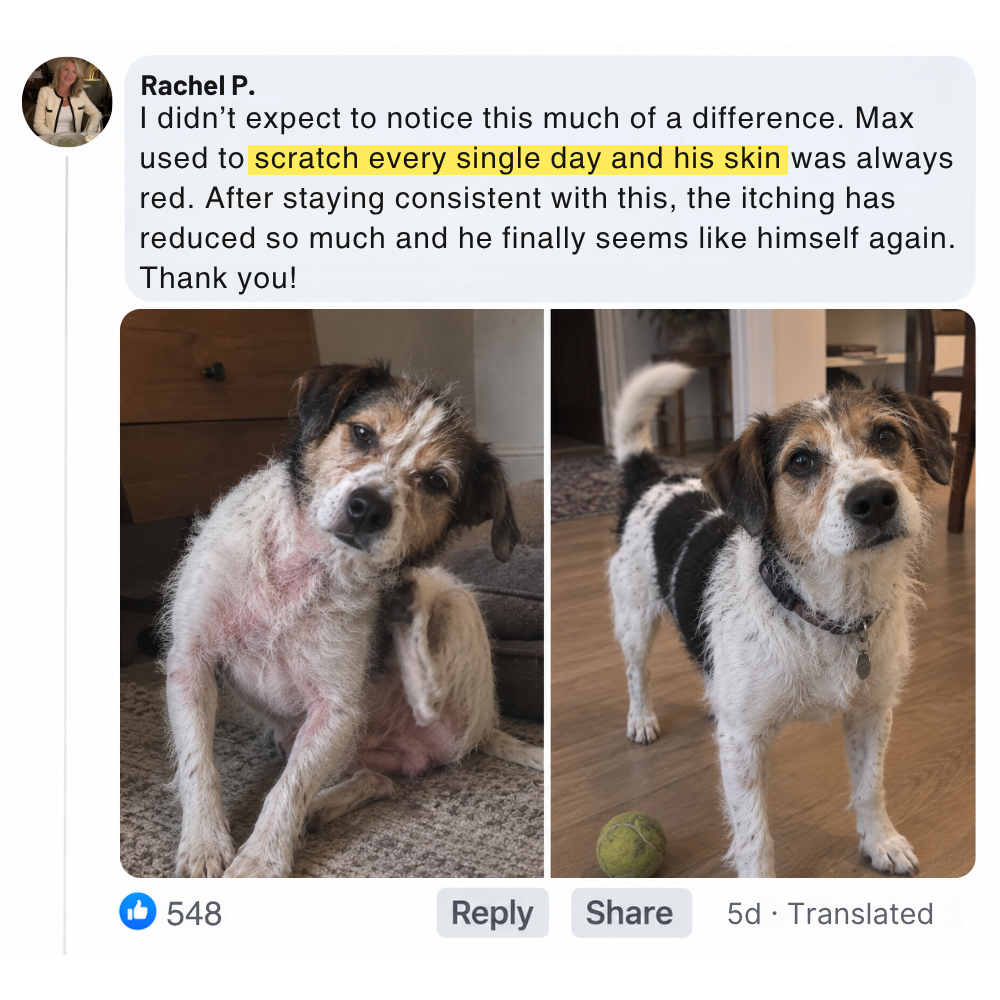 Before & after
