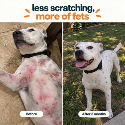 Allergy & Itch Soft Chews