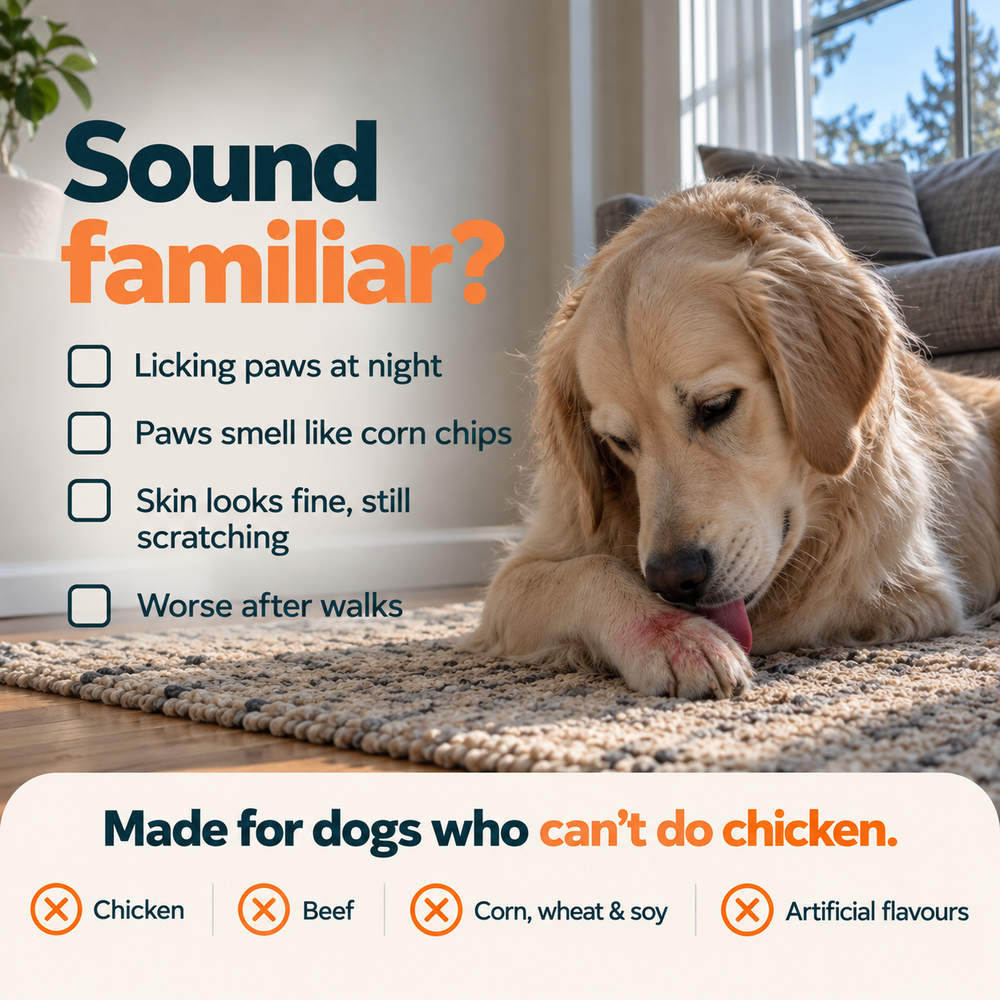 Signs that may be familiar to parents of itchy dogs