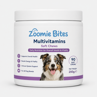 Daily Multivitamin Soft Chews — One Chew, All the Good Stuff