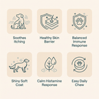 Allergy & Itch Soft Chews
