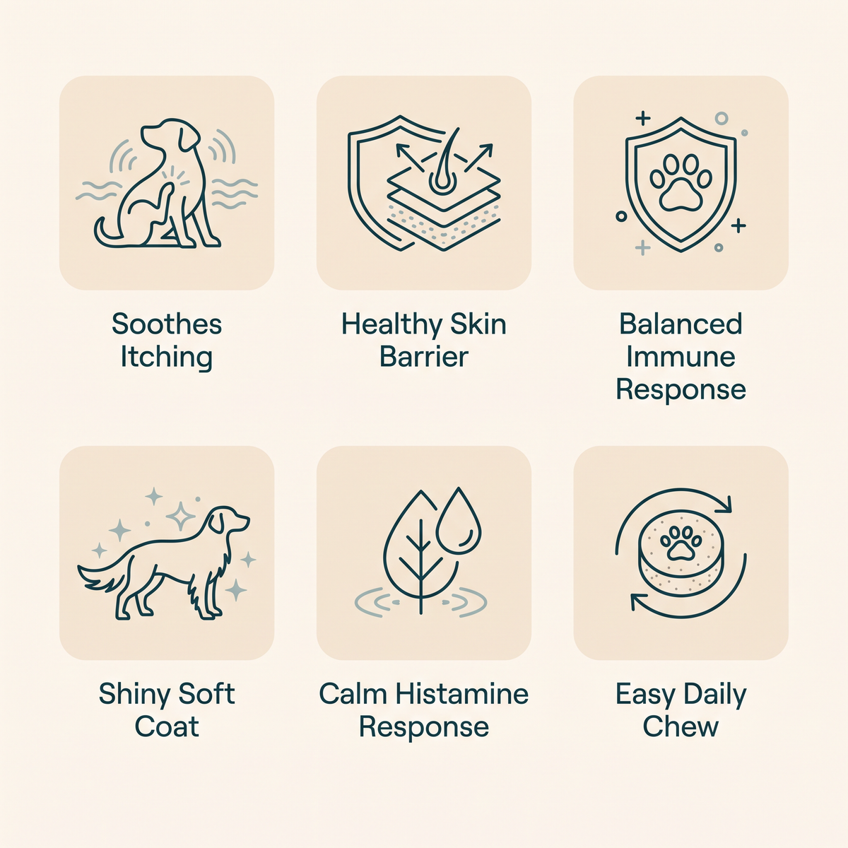 Allergy & Itch Soft Chews