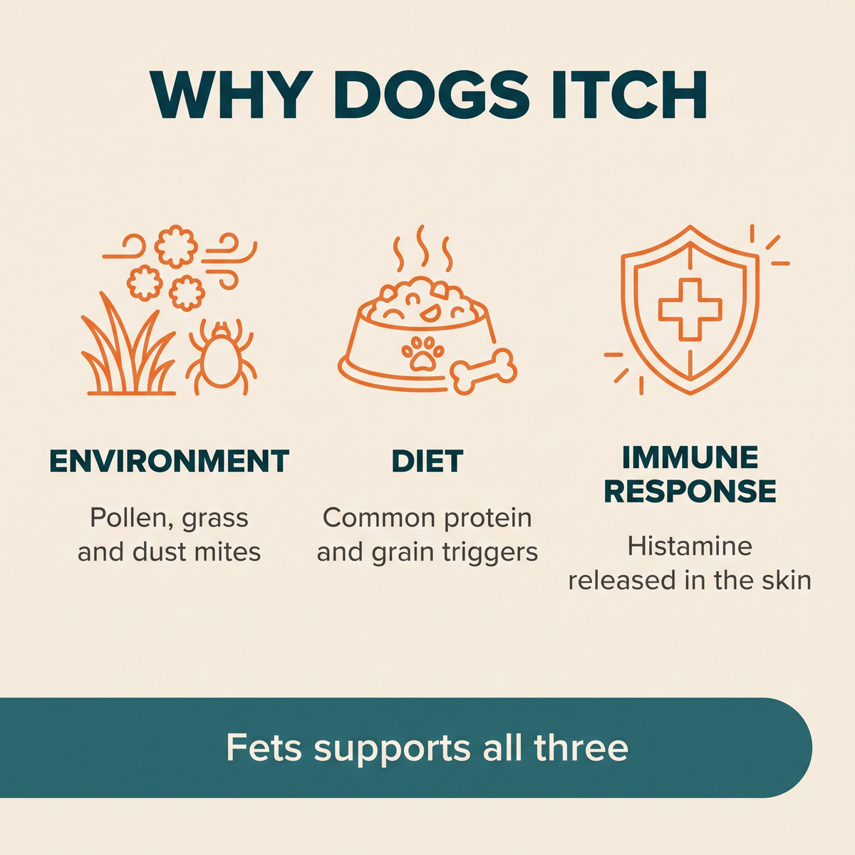 Allergy & Itch Soft Chews