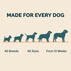 Allergy & Itch Soft Chews