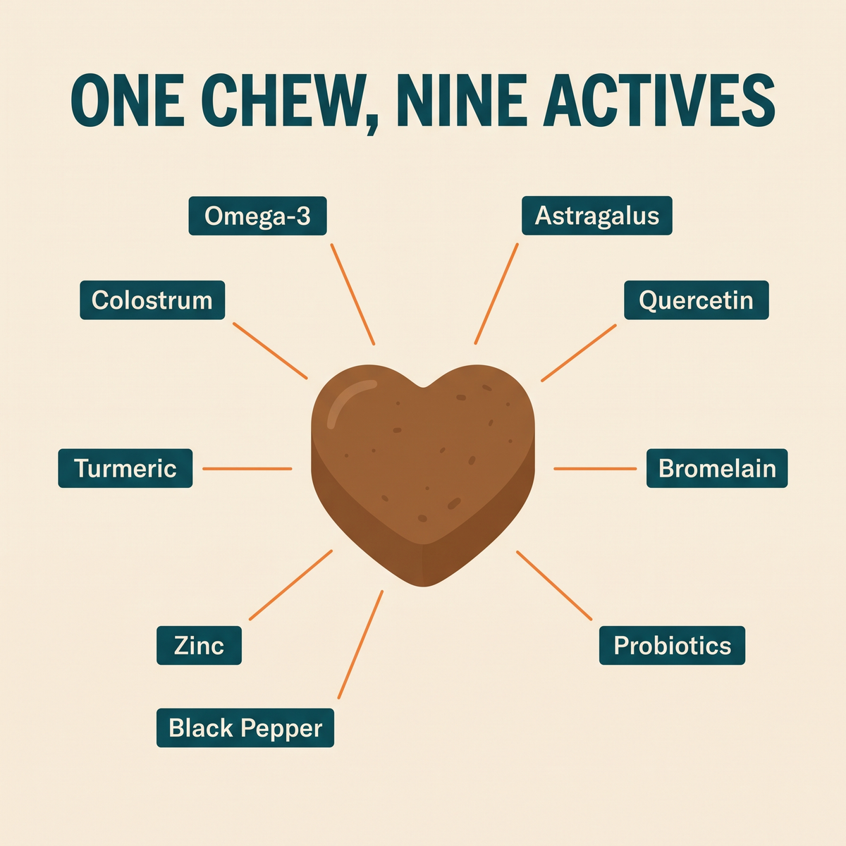 Allergy & Itch Soft Chews
