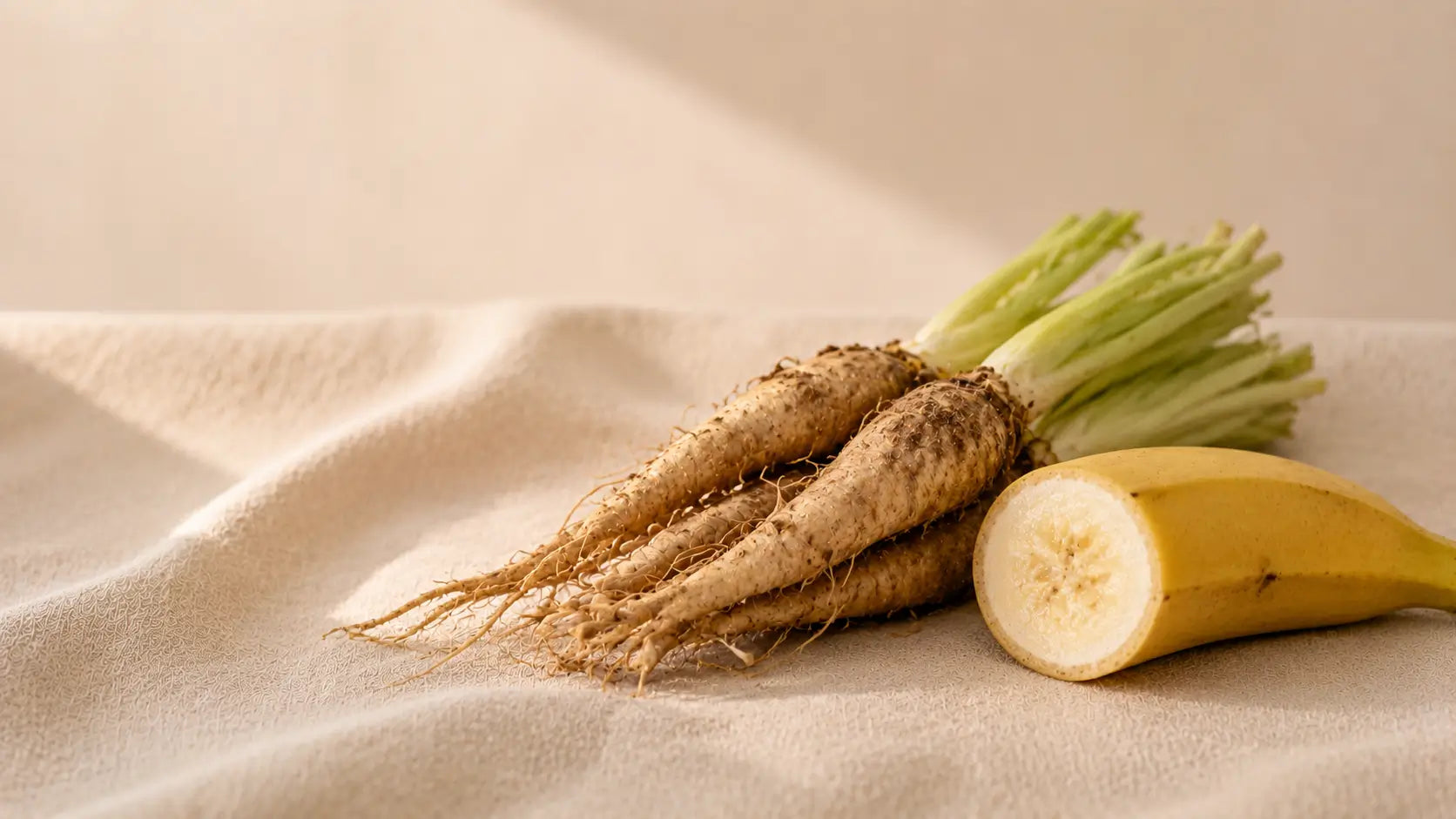 Prebiotics